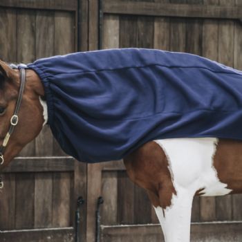 Kentucky Cooler Fleece Scarf